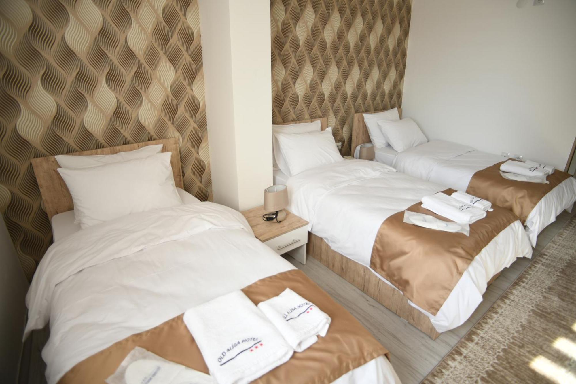 סקופיה Hotel Old Alisa מראה חיצוני תמונה